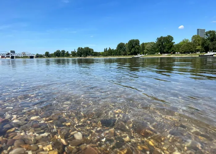 Living Lu - Cosy Two - Netflix - Naehe Mannheim - Basf - 2 Appartement *